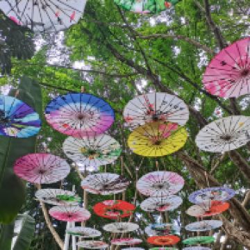 評論圖片 2