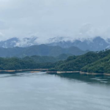 評論圖片 1