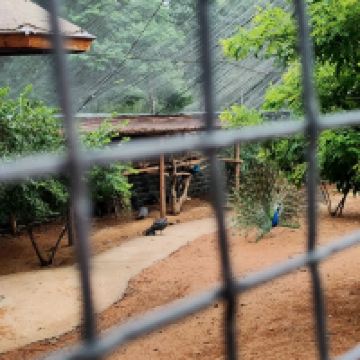 評論圖片 7