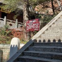 評論圖片 2