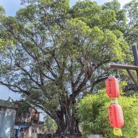評論圖片 1