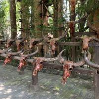 評論圖片 4
