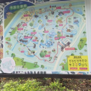 評論圖片 5