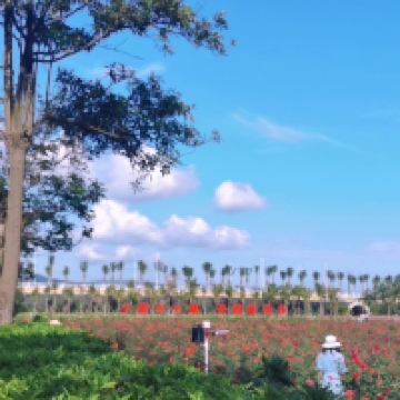 評論圖片 5