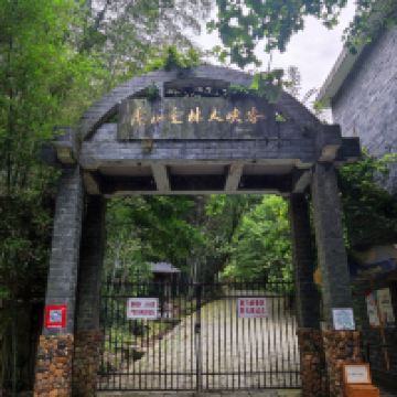 評論圖片 1