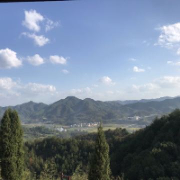 評論圖片 2