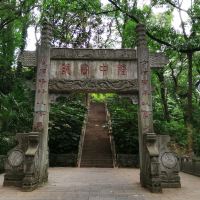 評論圖片 6