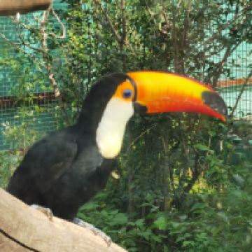 評論圖片 1