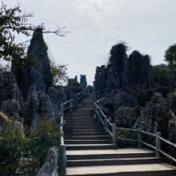評論圖片 3