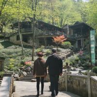 評論圖片 7