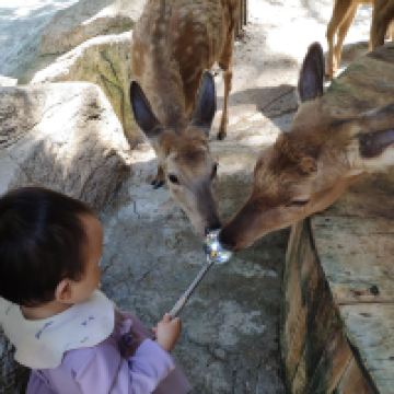 評論圖片 4