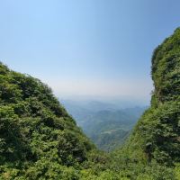 評論圖片 1