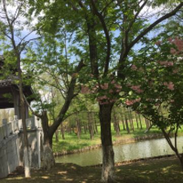 評論圖片 1