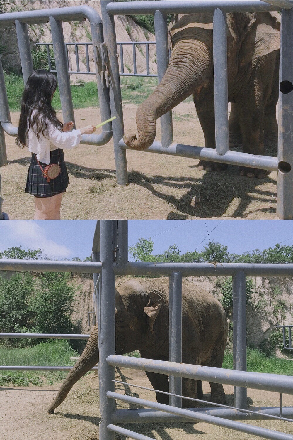 北京 八達嶺野生動物世界 バーダーリン ワールドライフワールド 評判 案内 トリップドットコム 北京 八達嶺野生動物世界 バーダーリン ワールドライフワールド 評判 案内 トリップドットコム