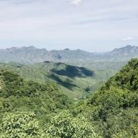 評論圖片 4