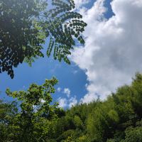 評論圖片 3