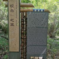 評論圖片 5