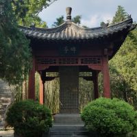 評論圖片 3