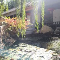 評論圖片 7