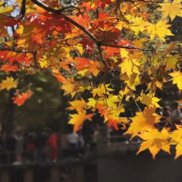 評論圖片 4