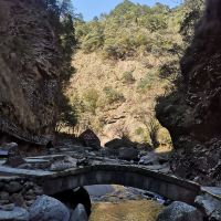 評論圖片 7
