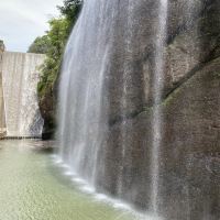 評論圖片 6
