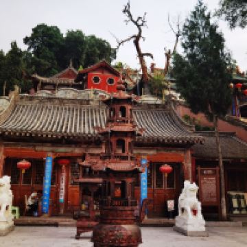 評論圖片 5