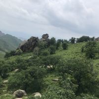 評論圖片 6