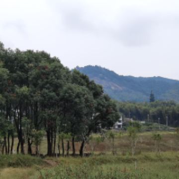 評論圖片 2