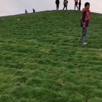 評論圖片 5