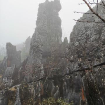 評論圖片 6