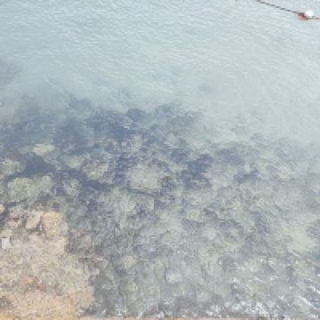 評論圖片 9
