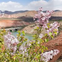 評論圖片 2