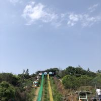 評論圖片 6