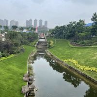 評論圖片 1