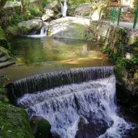 評論圖片 2