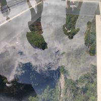 評論圖片 5