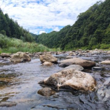 評論圖片 1