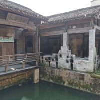 評論圖片 2
