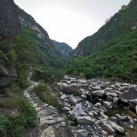 評論圖片 1