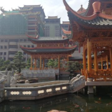 評論圖片 5
