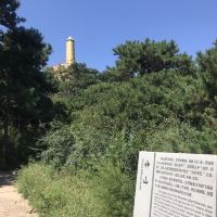 評論圖片 2