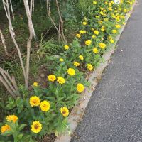 評論圖片 4