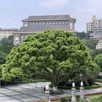評論圖片 8