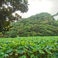 評論圖片 6