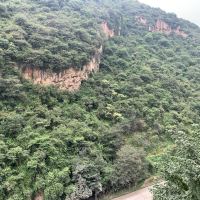 評論圖片 3