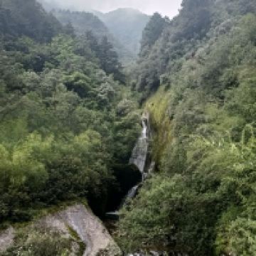 評論圖片 2
