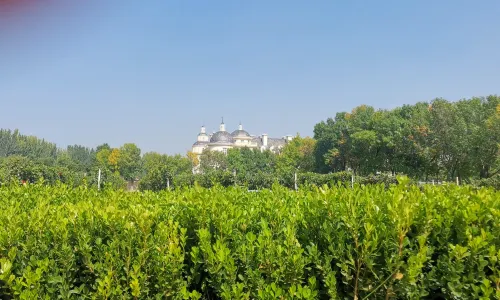 Longyu Winery