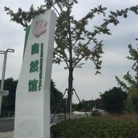 評論圖片 1