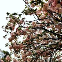 評論圖片 7